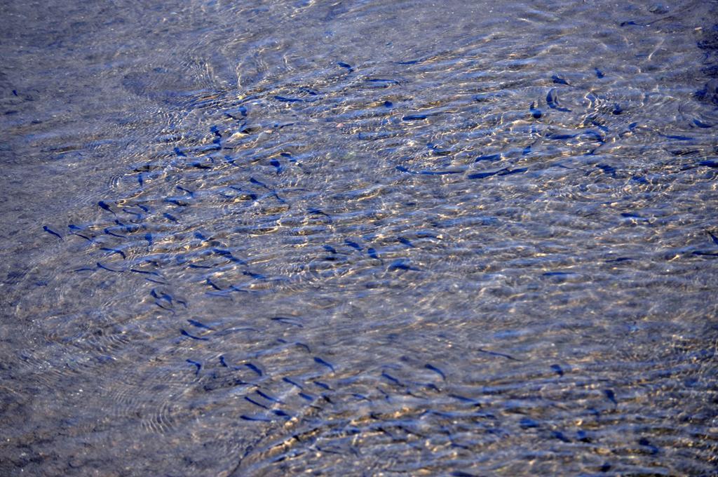 Moinhos Das Mares 夫塞塔 外观 照片